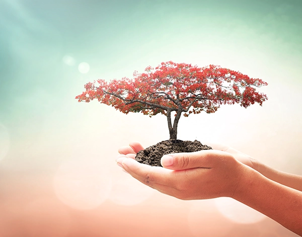 thrivetraumasolutions