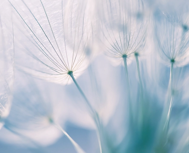 trauma therapies thrive